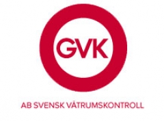 GVK